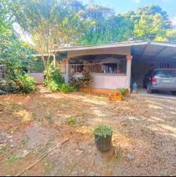 Spacious yard with lush greenery surrounding rustic house in Tinajas Dolega Panama