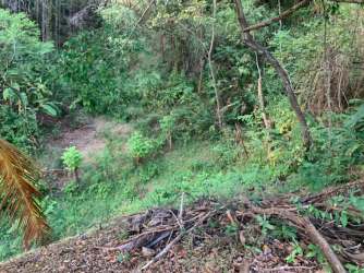 Scenic wooded hillside ocean view development land Santa Catalina Panama