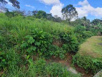 Lush sloping terrain with dense vegetation and natural creek Hurtado Capira Panama