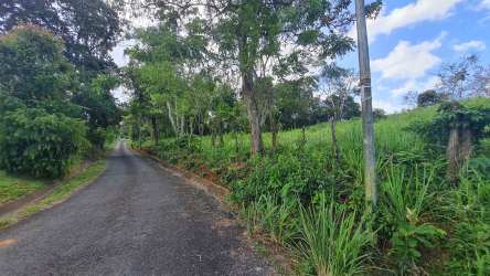 Paved rural road beside grassy lot with trees Hurtado Capira Panama