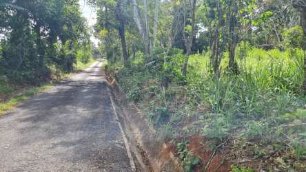 Countryside lot with trees and narrow asphalt road Capira Panama