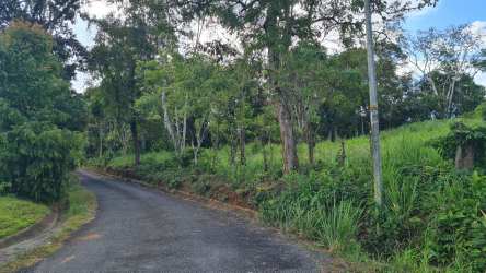 Access road with dense trees on rural lot Hurtado Capira Panama