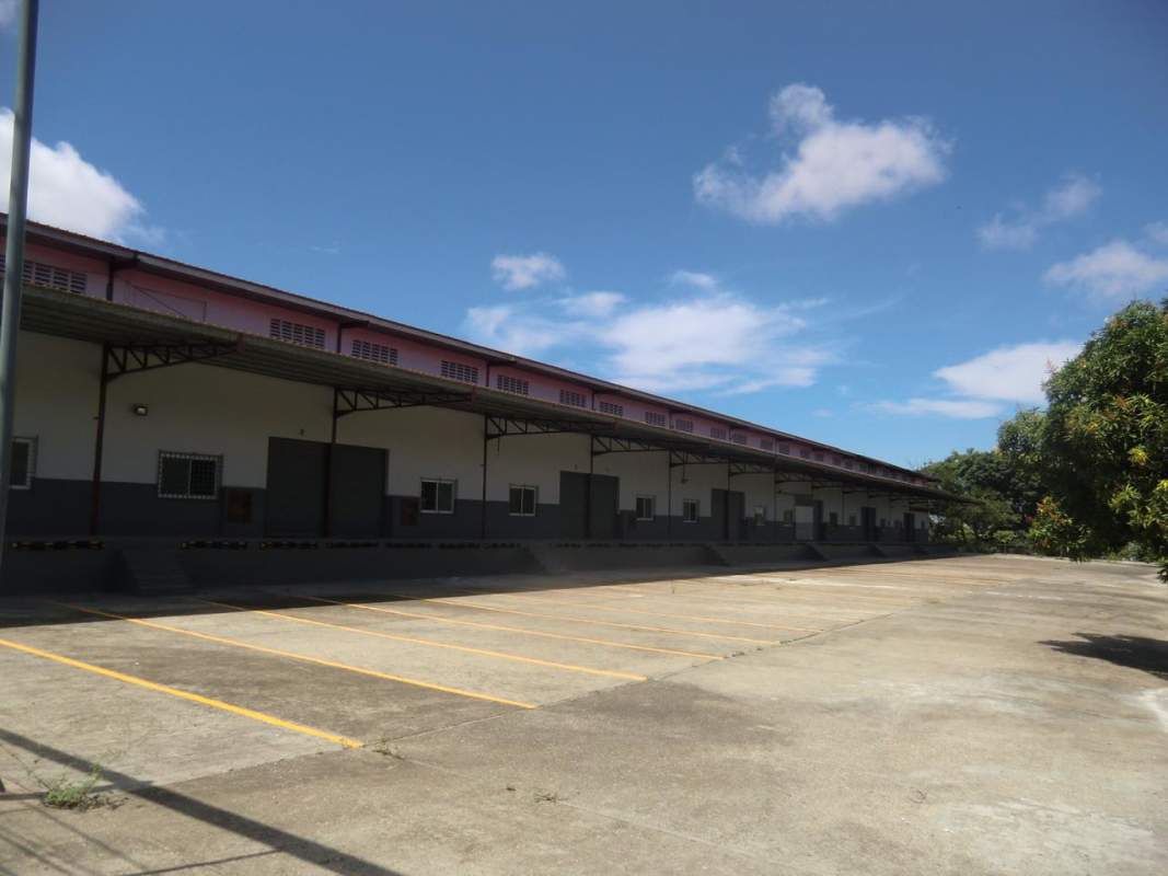 Exterior loading dock area with multiple bays and large parking at Galeras Balzac Juan Díaz Panama