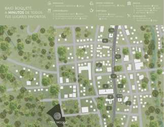 Neighborhood schematic map with buildings green spaces at The Woods Boquete Panama