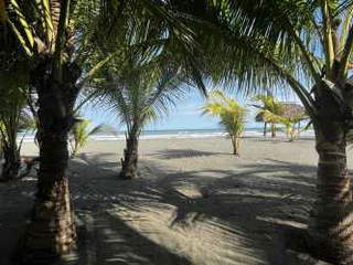 Land / Residential Lot for Sale in Barú - 0 bedrooms