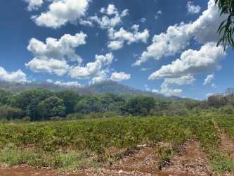Open farmland with mountains and countryside in Capira Panama Oeste
