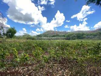 Farmland lot with mountain and countryside environment Capira Panama