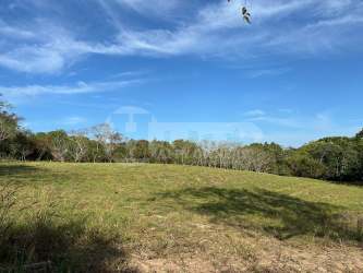 Large open land plot surrounded by trees under blue Panama skies near beaches
