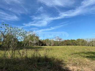 Land for Sale in El Limón - 0 bedrooms