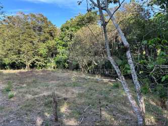Wide open developable land near Pedasi beaches perfect for residential or tourism project