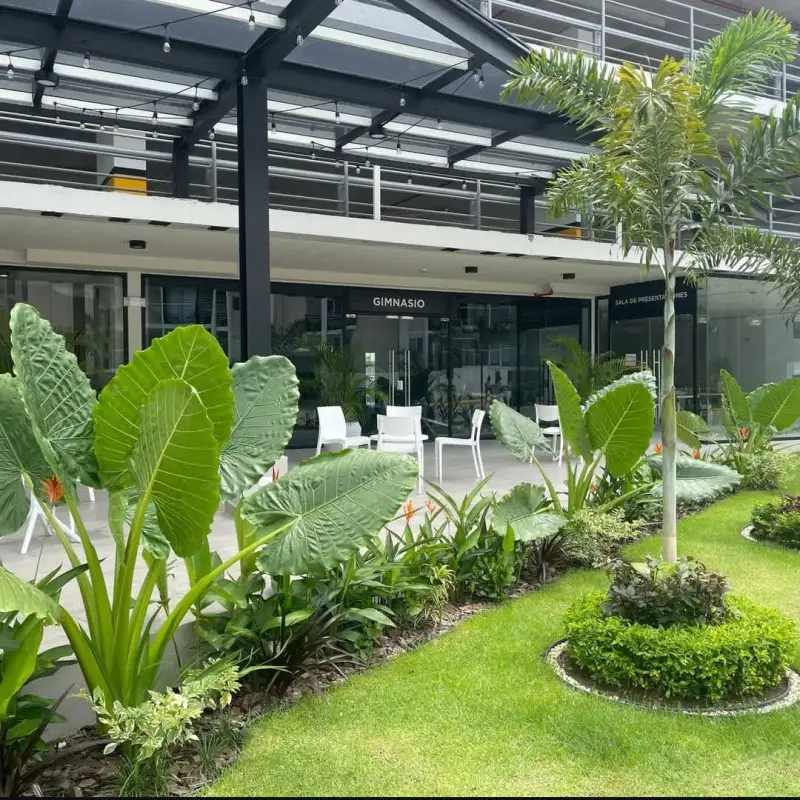 Modern facade with patio, plants, gym entrance at Panamá Viejo Residences Panama