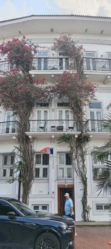 Living room with stone accent wall, mustard sofa, modern decor Casco Viejo Panama