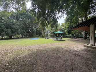 Expansive lot with green grass, banana palms, and mature fruit trees in Santa Clara near beach