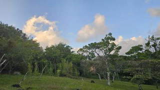 Land for Sale in Antón - 0 bedrooms