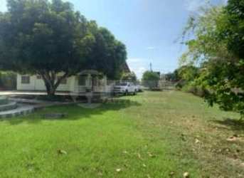 Spacious green front yard with trees around beach house in Nueva Gorgona Panama