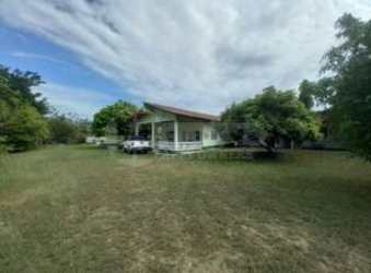 Lush lawn with mature shade trees beside beach home in Nueva Gorgona Panama