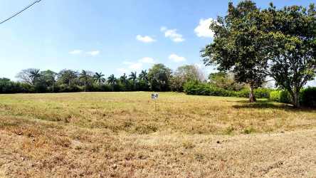 Aerial view of outlined fencing of large rural lot in Pedasi Panama