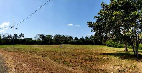 Vacant green land with utility access pole in Equus Village Pedasi