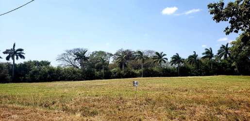 Large open land plot in Equus Village Pedasi ready for building