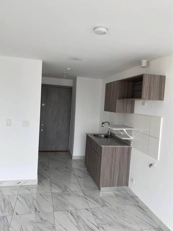 Modern open-plan kitchen with granite counters and grey cabinets at PH Botánico Bella Vista