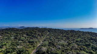 Condominium Apartment for Sale in Veracruz - 1 bedroom