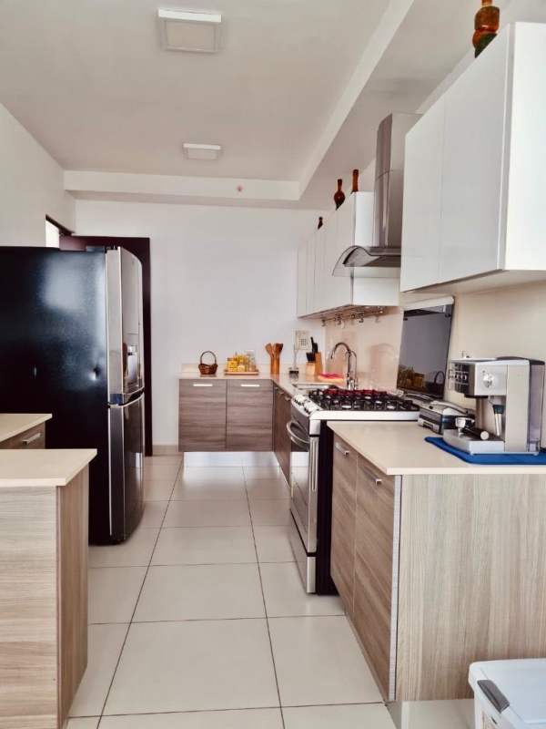 Designer kitchen with stainless steel appliances and cabinetry in PH Dal Mare condo Panama City