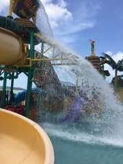 Apartment for Rent in Vacamonte - 3 bedrooms