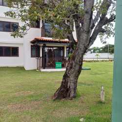 Garden with large tree and white apartment complex in Coronado Panama