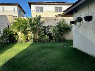 Fenced backyard with tropical landscaping at solar-powered house in Woodlands Panama Pacifico