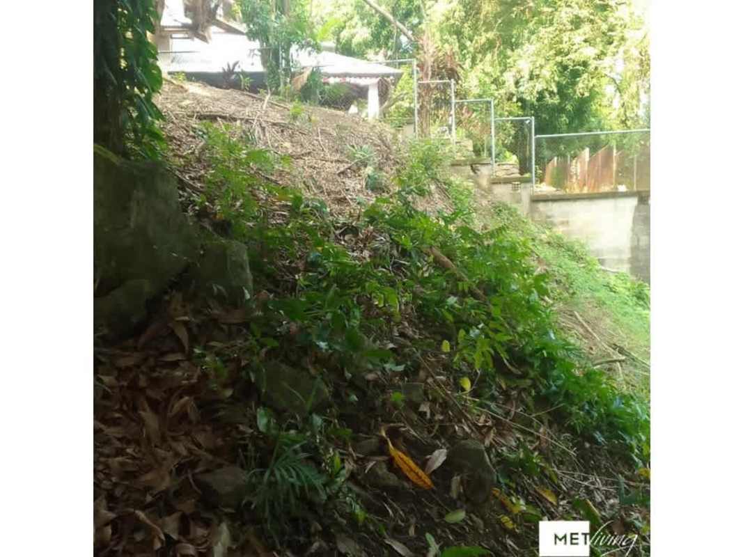 Elevated hillside residential lot with chain-link fence mature trees in Panama City