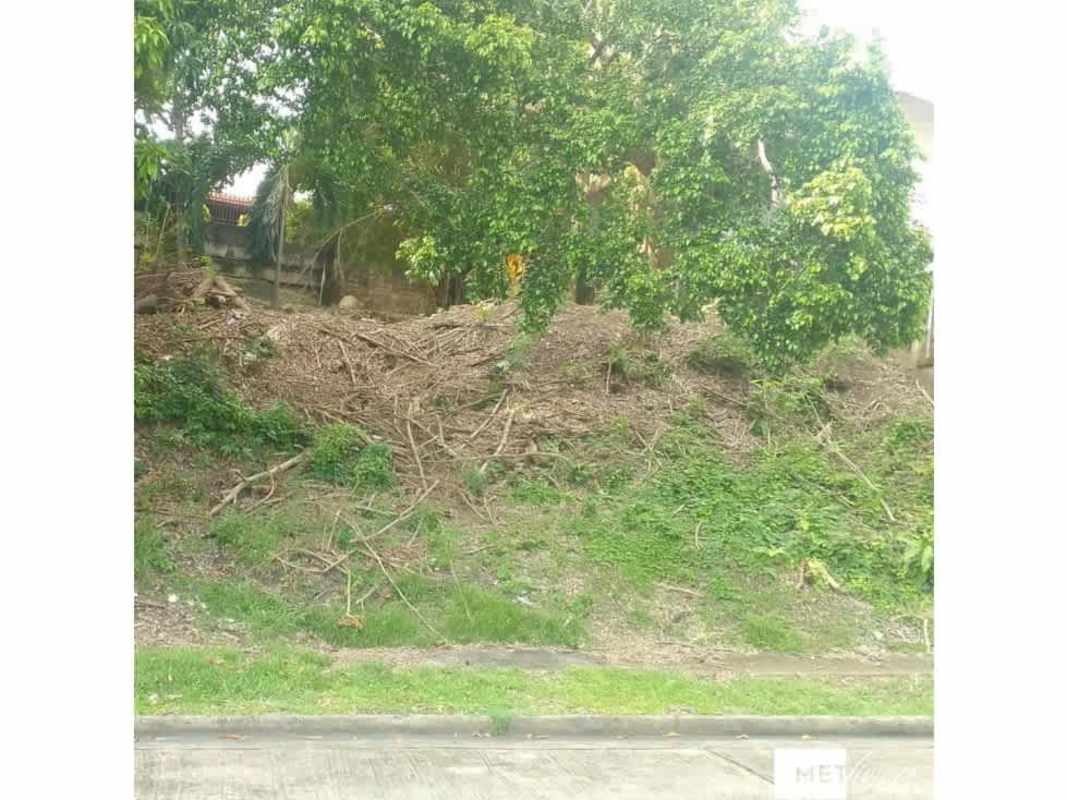 Vacant lot with mature trees sloped terrain partially fenced in Villa Lucre Panama City