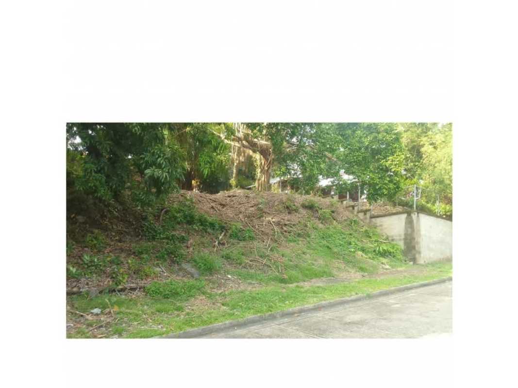 Road access to residential land plot with vegetation Villa Lucre Pedregal Panama