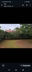 Private fenced backyard with green lawn, trees and hedges in Howard Panama home