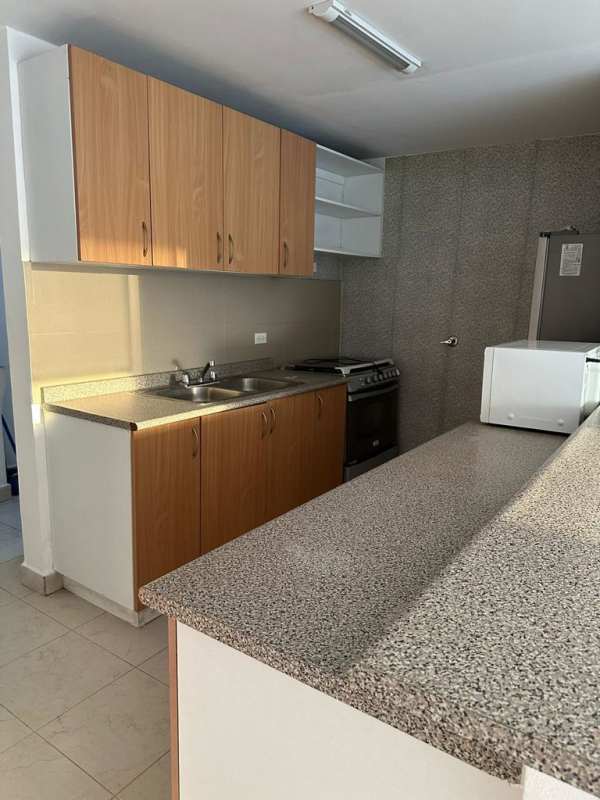 Contemporary kitchen with cabinets and appliances PH Central Park Tower Tribeca Tocumen Panama