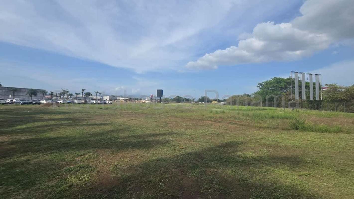 Vacant grassy corner lot ideal for commercial tower in Santa Maria Business District Panama City