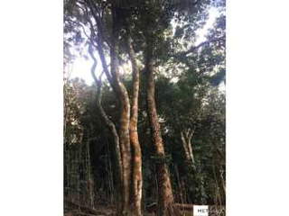 Land for Sale in Laguna San Carlos - 0 bedrooms