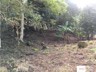 Gently sloping countryside lot with thick tropical vegetation near Laguna San Carlos Panama
