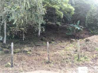 Vacant land near Laguna San Carlos with wire fencing, mature trees in Panama