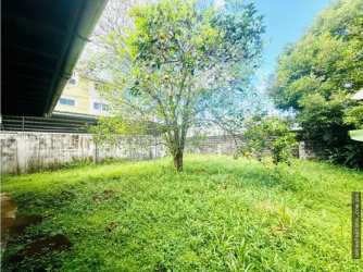 Outdoor backyard with mature tree surrounded by wall at commercial duplex in David Chiriquí