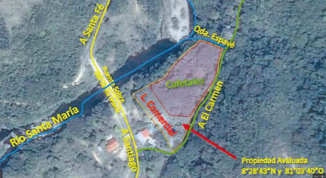 Sloped terrain wooded with coffee plants and dense vegetation Santa Fe Veraguas