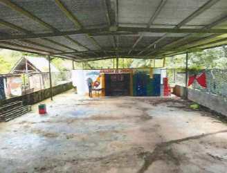 Natural forest scenery and plantation views on commercial farmland in Santa Fe Veraguas