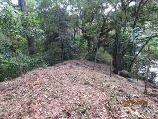 Commercial property + farmland for Sale in Santa Fé - 0 bedrooms