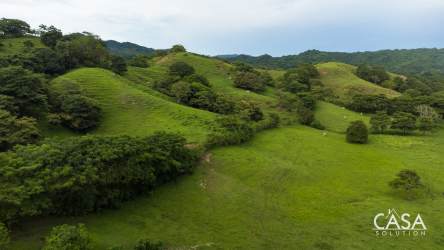Aerial image of open green pastures rolling toward ocean Cambutal Los Santos Panama