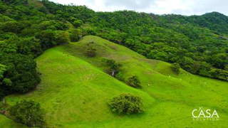 Land for Sale in Tonosí - 0 bedrooms