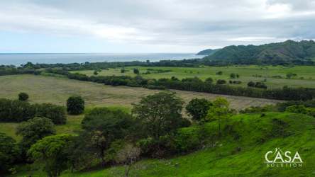 Scenic aerial of ocean horizon rolling countryside hills and forest Cambutal Panama