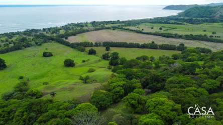 Aerial showing rolling green hills with trees and ocean backdrop Cambutal Panama land for sale