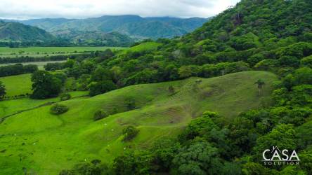Aerial of lush countryside with hills, trees and distant ocean view in Cambutal Panama