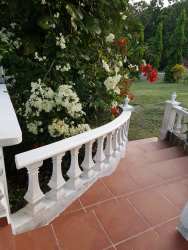 Covered terrace patio overlooking lush garden in rental house El Valle Village Panama