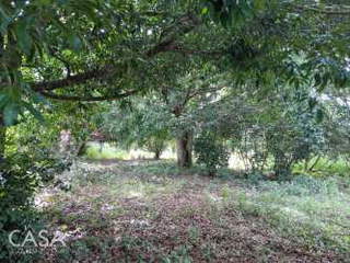 Land / Lot for Sale in Potrerillos Abajo - 0 bedrooms