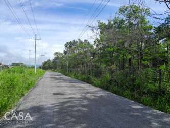 Large open fertile land plot near Boquete with trees and flat terrain ideal for building or farming